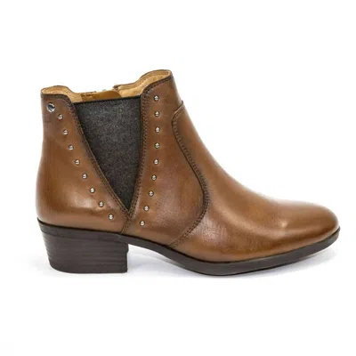 Pikolinos Women's Daroca Ankle Boots In Cuero In Multi