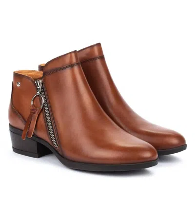 Pikolinos Women's Daroca Booties In Cuero In Brown