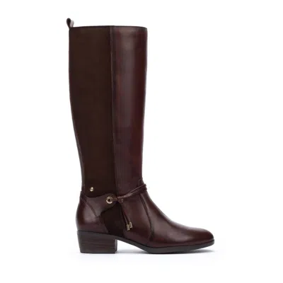 Pikolinos Women's Daroca Tall Boots In Caoba In Multi