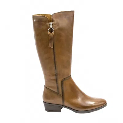 Pikolinos Women's Daroca Tall Boots In Cuero In Brown