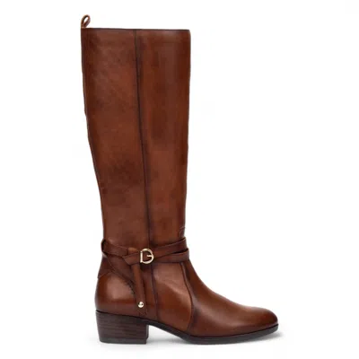 Pikolinos Women's Knee High Tall Caoba Brown Leather Boots - Daroca In Multi