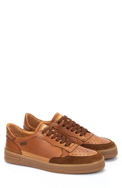 Pikolinos Xativa Trainer In Brandy