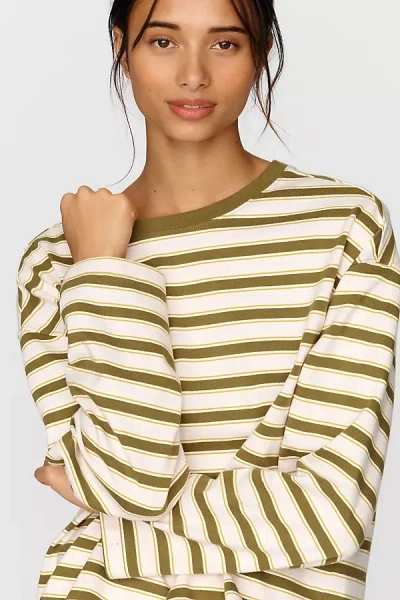 Pilcro 100% Cotton Striped Crew Neck Tee In Green