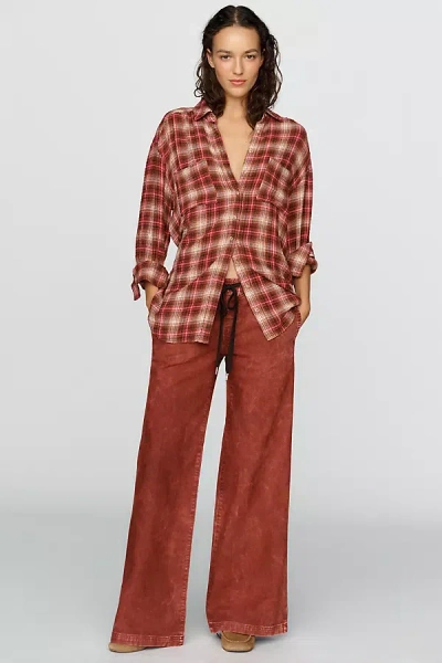 Pilcro Albany Low Rise Pull On Pants In Brown