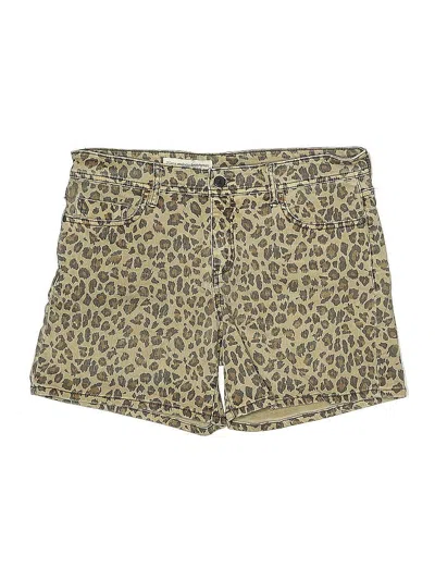 Pre-owned Pilcro And The Letterpress Shorts In Brown