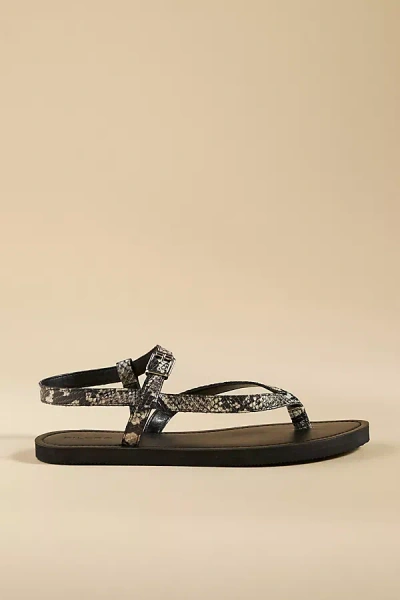 Pilcro Ankle Wrap Thong Sandals In Black