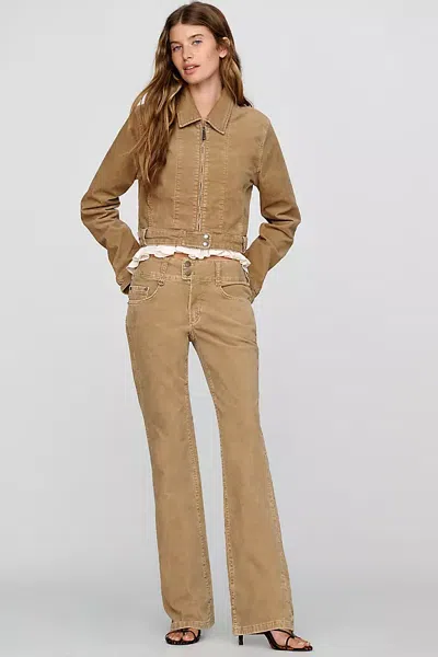 Pilcro Billy Low Rise Bootcut Jeans In Brown
