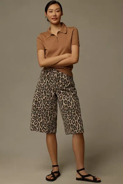 Pilcro Cheetah-print Bermuda Shorts In Multicolor