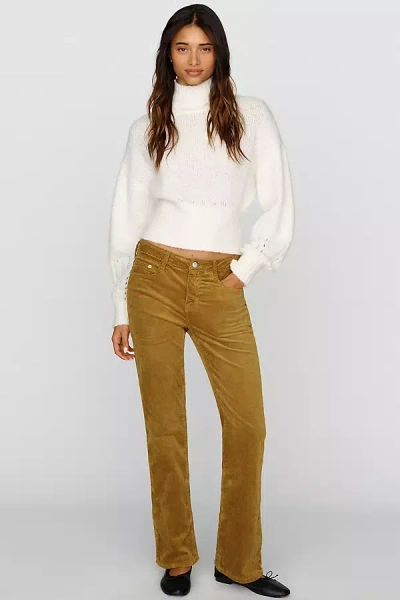 Pilcro Corduroy Low Rise Bootcut Jeans In Beige