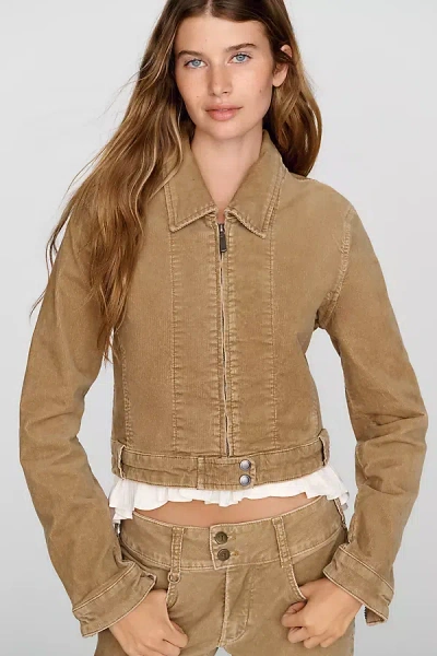 Pilcro Corduroy Moto Jacket In Brown