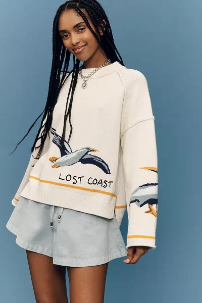 Pilcro Lost Coast Long-sleeve Crew-neck Sweater In Neutral