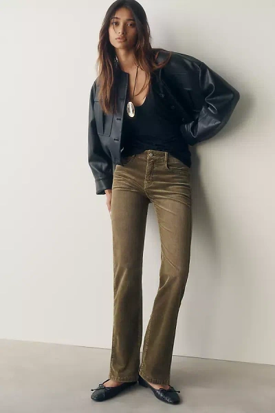 Pilcro Mid-rise Straight Leg Corduroy Jeans In Green