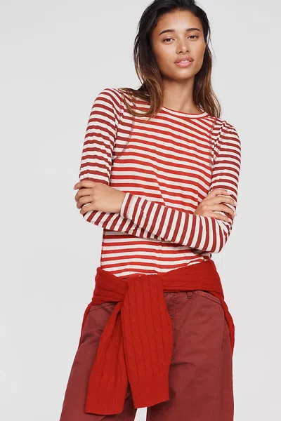 Pilcro Teddy Tissue Tee In Multi