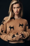 Pilcro The Alani Cashmere Sweater By : Crop Crew-neck Edition In Brown