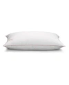 Pillow Gal White Goose Down Pillow With Removable Pillow Protector In White