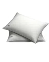 Pillow Guy 2-pack Wgd Stomach Sleeper Pillow