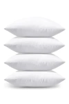 Pillowpia Pillow Insert 14 X 24