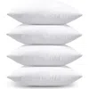 Pillowpia Pillow Insert 20x20