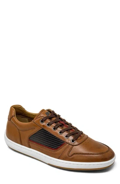 Piloti Compass Sneaker In Brown