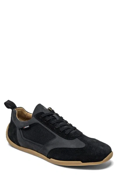 Piloti Endurance Sneaker In Black