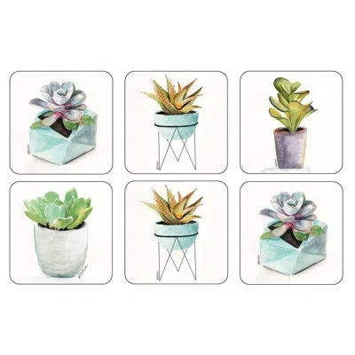 Pimpernel Succulents Coasters 4"x 4" In White,green;white,green