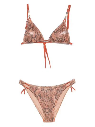 PIN UP SNAKE PRINT TRIANGLE BIKINI