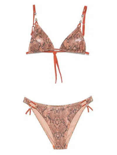 Pin Up Snake Print Triangle Bikini Clothing In Brown