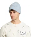 Pin1876 By Botto Giuseppe Beanie In Lightblue