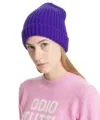 Pin1876 By Botto Giuseppe Beanie In Violet