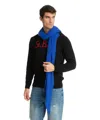 Pin1876 By Botto Giuseppe Cashmere Scarf In Blue