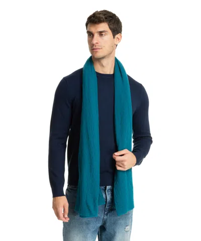 Pin1876 By Botto Giuseppe Cashmere Scarf In Blue