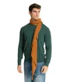 Pin1876 By Botto Giuseppe Cashmere Scarf In Brown