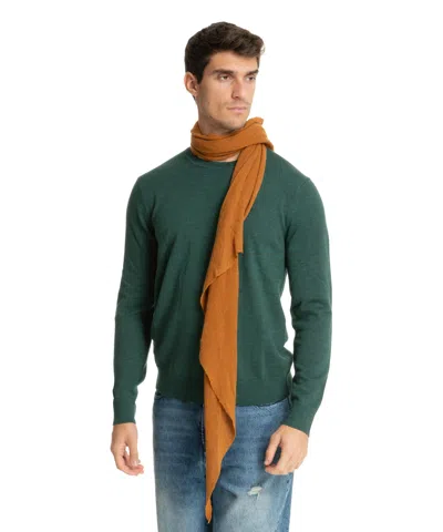 Pin1876 By Botto Giuseppe Cashmere Scarf In Brown