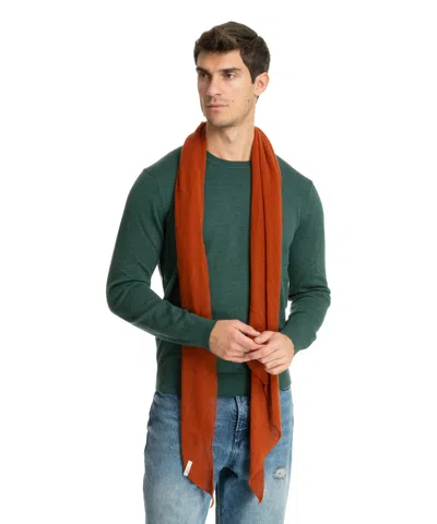 Pin1876 By Botto Giuseppe Cashmere Scarf In Brown
