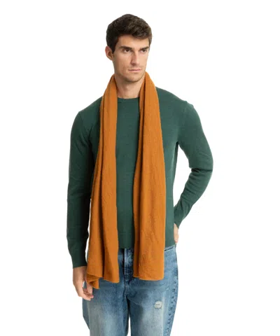Pin1876 By Botto Giuseppe Cashmere Scarf In Brown