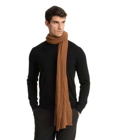 Pin1876 By Botto Giuseppe Cashmere Scarf In Brown