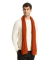 Pin1876 By Botto Giuseppe Cashmere Scarf In Brown