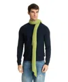 Pin1876 By Botto Giuseppe Cashmere Scarf In Green