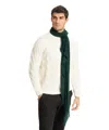 Pin1876 By Botto Giuseppe Cashmere Scarf In Green