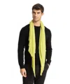Pin1876 By Botto Giuseppe Cashmere Scarf In Green