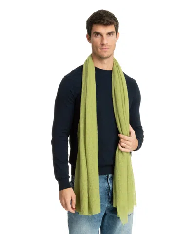 Pin1876 By Botto Giuseppe Cashmere Scarf In Green