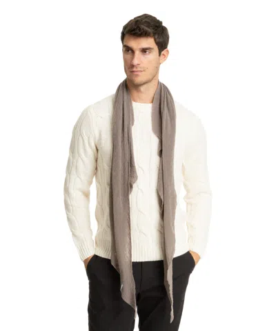 Pin1876 By Botto Giuseppe Cashmere Scarf In Grey