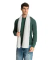 Pin1876 By Botto Giuseppe Cashmere Scarf In Grey
