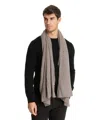 Pin1876 By Botto Giuseppe Cashmere Scarf In Grey