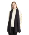 Pin1876 By Botto Giuseppe Cashmere Scarf In Violet