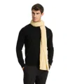 Pin1876 By Botto Giuseppe Cashmere Scarf In Yellow