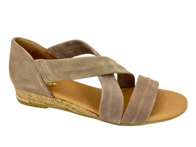 Pinaz Women's 317ao Espadrille In Taupe In Brown