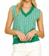 Pinch Esme Sweater Top In Green In Multi