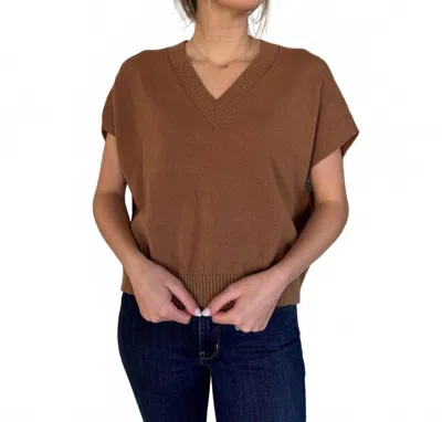 Pinch Gia V Neck Knit Sleeveless Top In Camel Brown