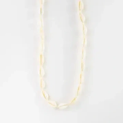 Pineapple Island Livadi Cowrie Shell Choker Necklace In White